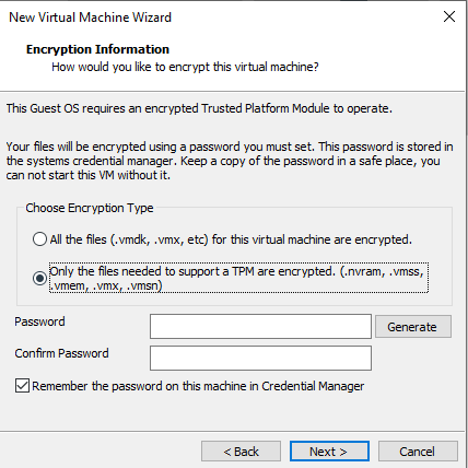 windows 11 vmware workstation
