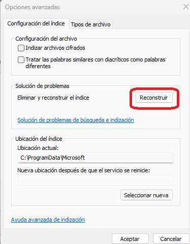indizacion buscador windows